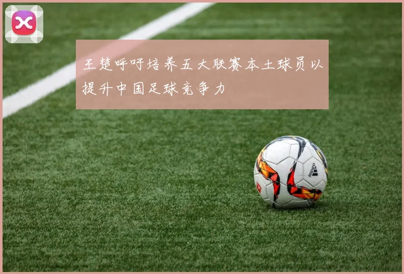 王楚呼吁培养五大联赛本土球员以提升中国足球竞争力