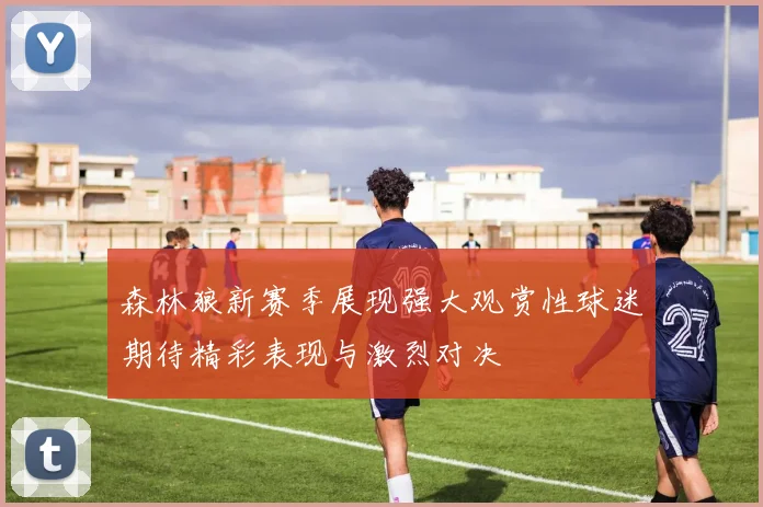 森林狼新赛季展现强大观赏性球迷期待精彩表现与激烈对决