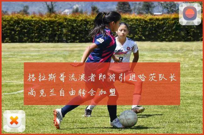 格拉斯哥流浪者即将引进哈茨队长尚克兰自由转会加盟